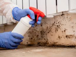 Best Water Damage & Mold Remediation in Sierra View, PA